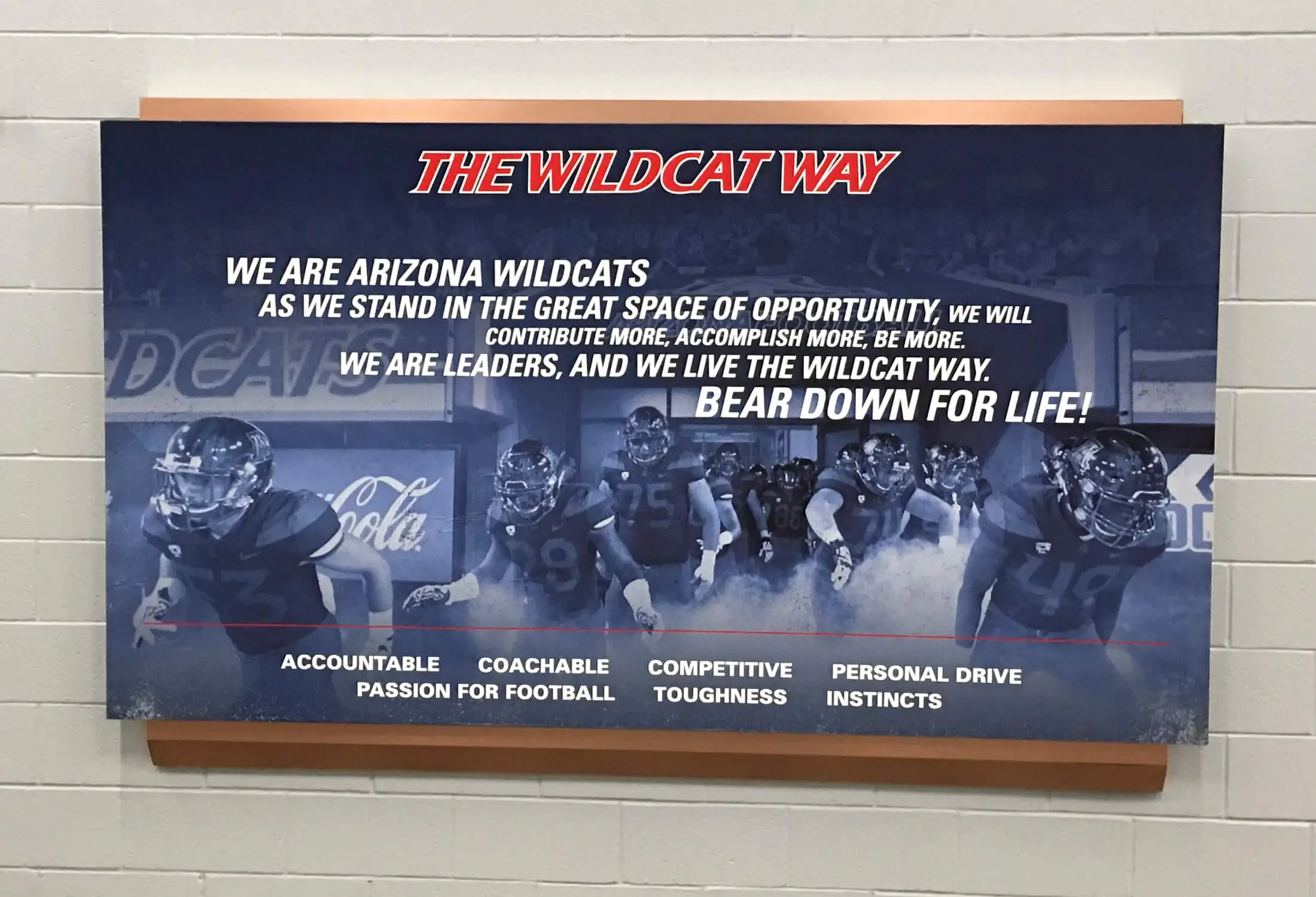 “The Wildcat Way” wall panel, Arizona Football